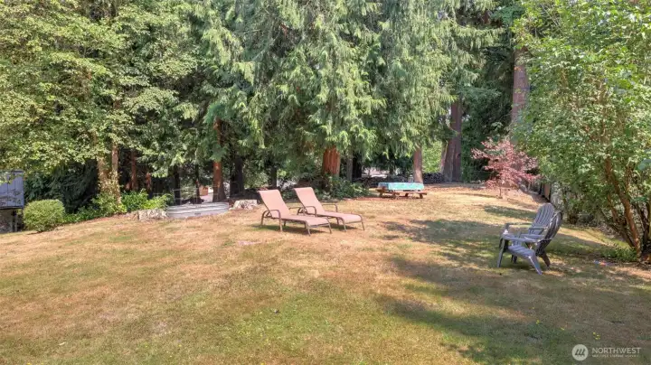 Relax and entertain in this spacious backyard surrounded by mature trees for added privacy.