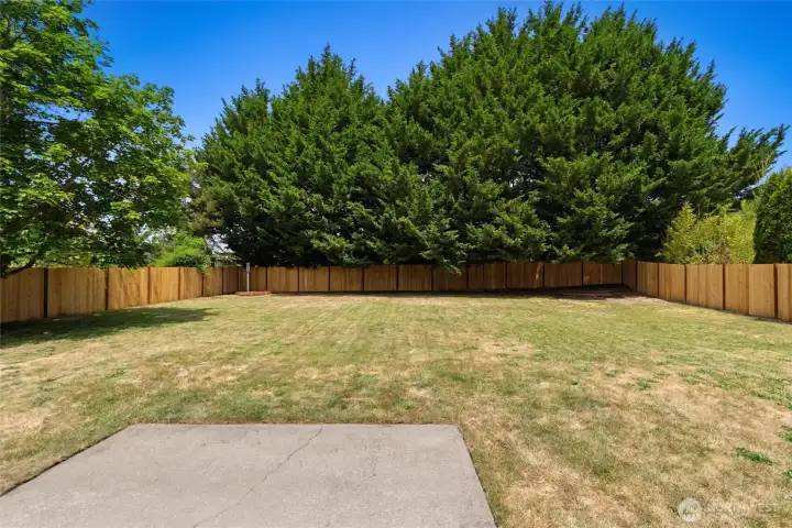 This backyard is giant!
