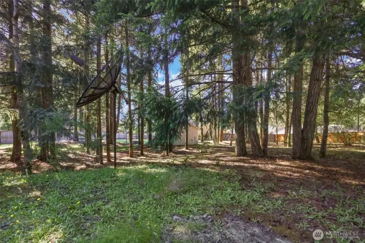 Wooded near the back of the lot.  Gate access to the back road.