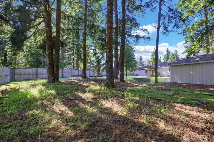 Room for RV or Boat storage.