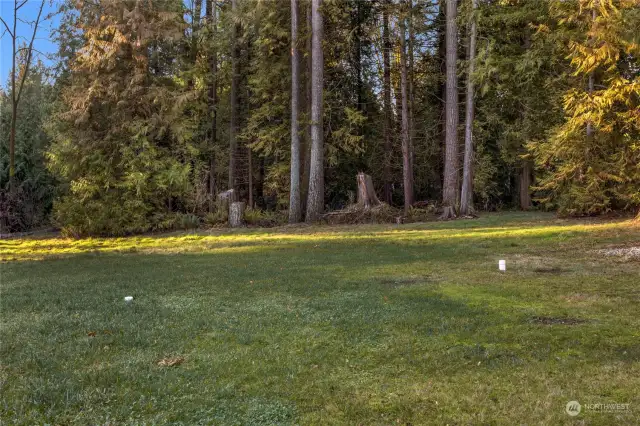 View of the peaceful back yard. The back of the lot (approximately 1/3 acre) could easily accommodate a detached shop/garage, sport court, pool, putting green or you name it.