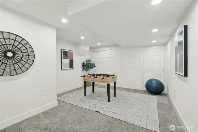 Lower Level Rec Room