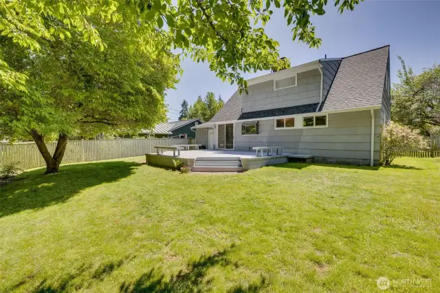 Big backyard
