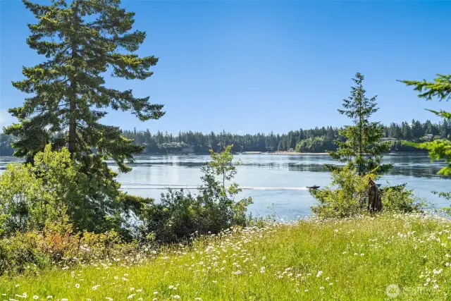 Eastern view from the home site.