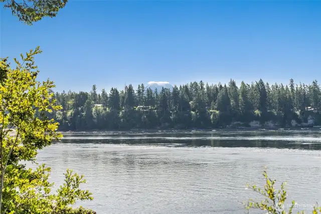 Mt Rainier view from the home site. The view from a second story home will be much more pronounced.