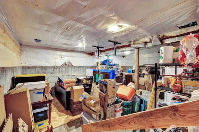 Unfinished Basement
