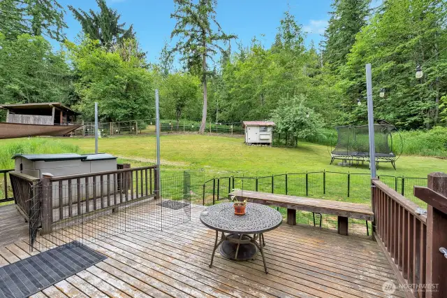 Backyard deck with chicken coop