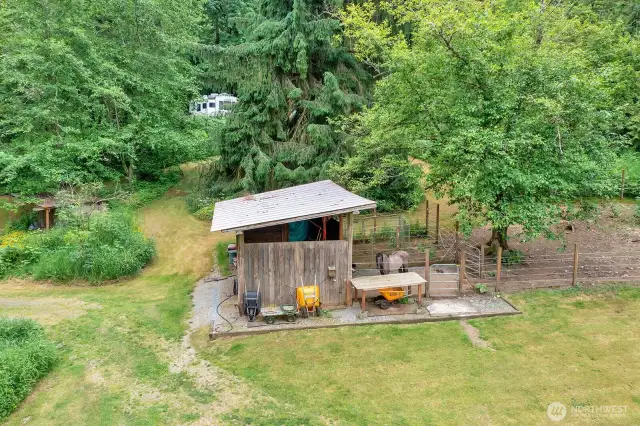Horse lean to and pasture