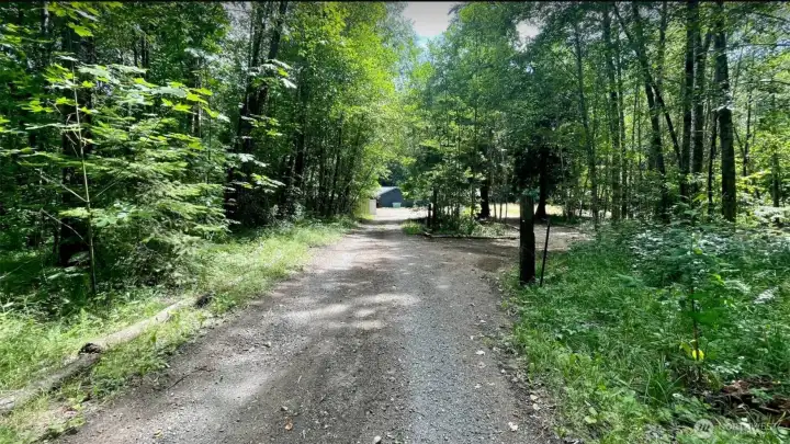 Driveway to campsites