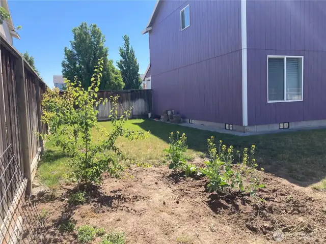 Side Yard