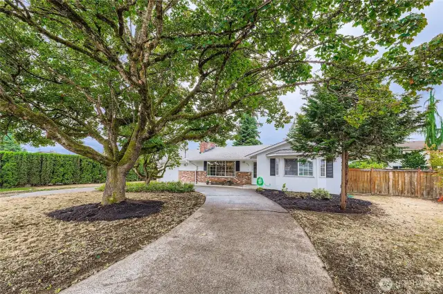 Bright, spacious living room with hardwood floors and a large picture window overlooking the peaceful front yard