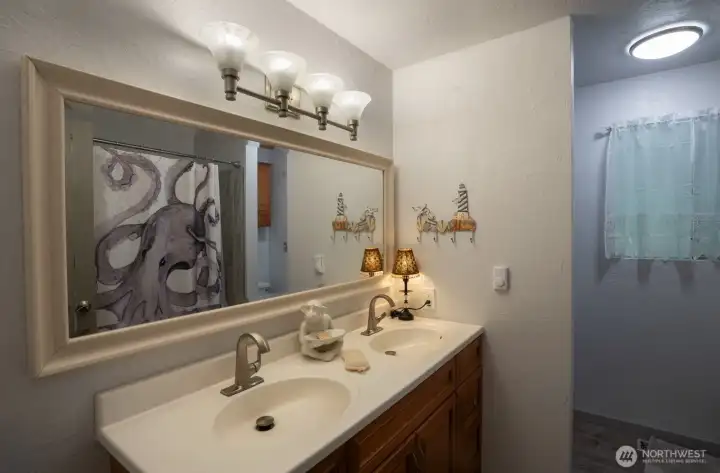 main bath with new fixtures