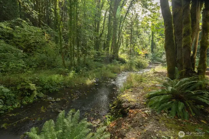 How Peaceful, all the bueaty nature can offer