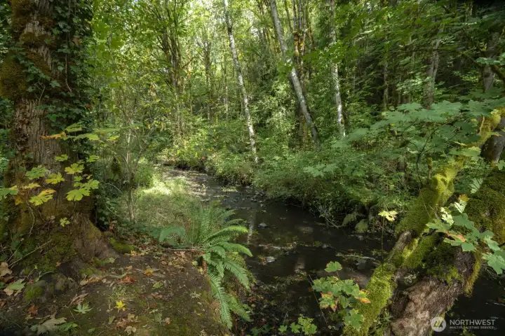 Little Quilcene River