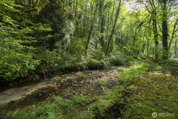Leland creek