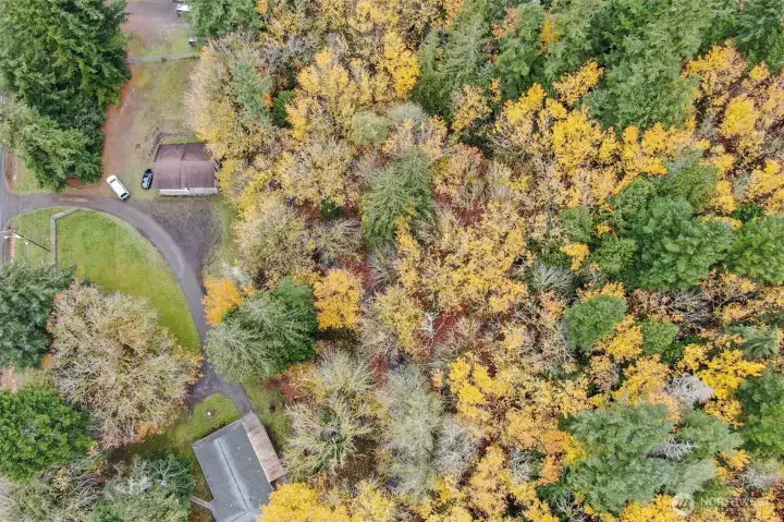 over head of the property