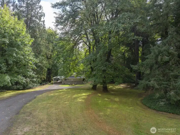 large parklike yard