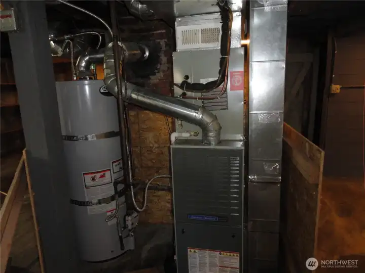 Gas water heater and furnace