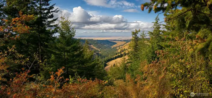 beautiful valley view from property