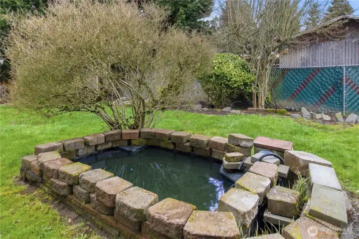 Back yard Koi pond