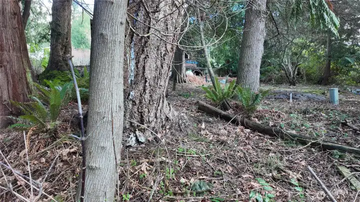 Power and corner stake are visible in picture.