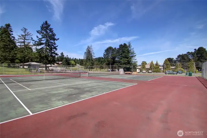 Shelter Bay Tennis Courts