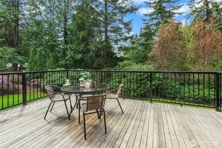 A large, south-facing deck is just off the dining area. Great flow for entertaining.