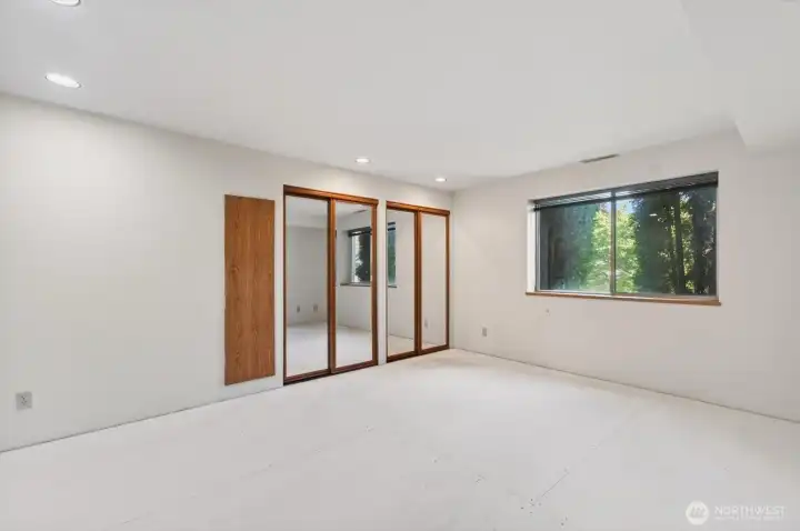Lower level bedroom