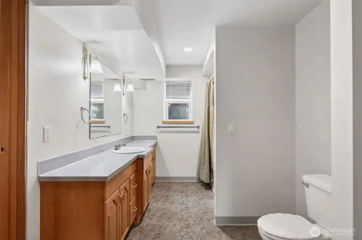 Lower level bathroom