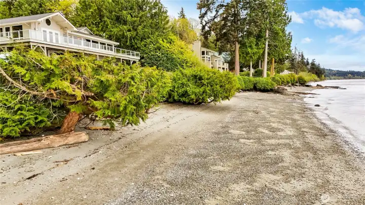 This stretch of beach could be yours!