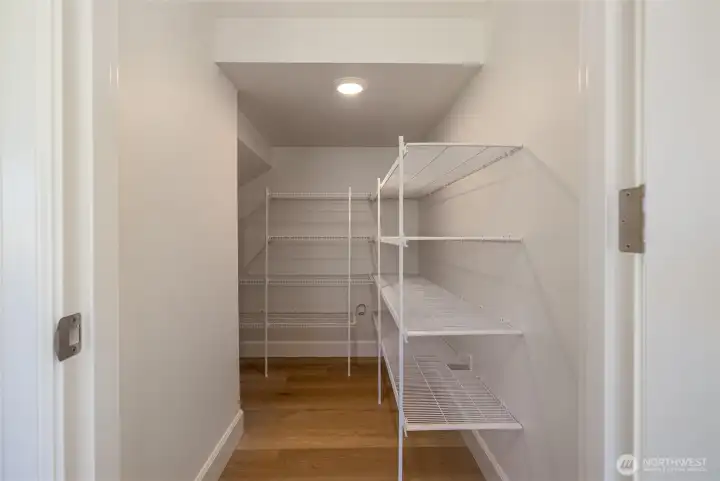 Pantry storage with shelves