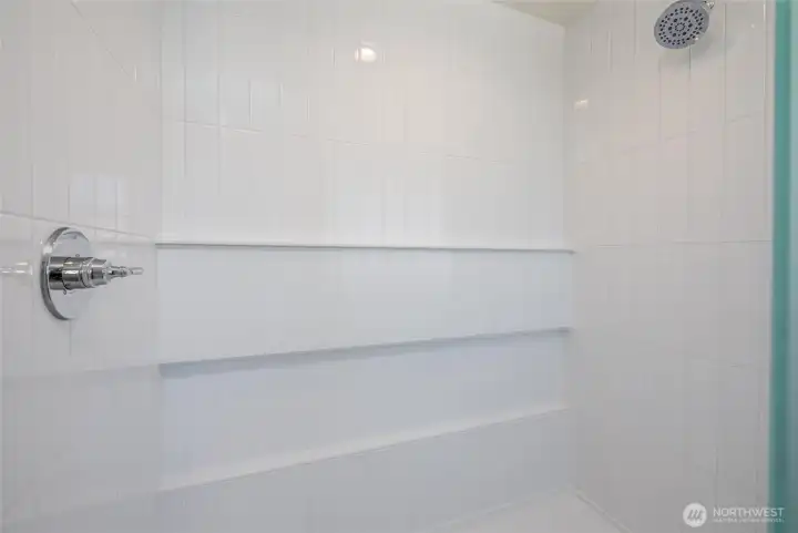Large tile master shower