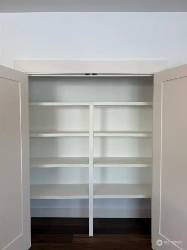 Kitchen pantry closet.