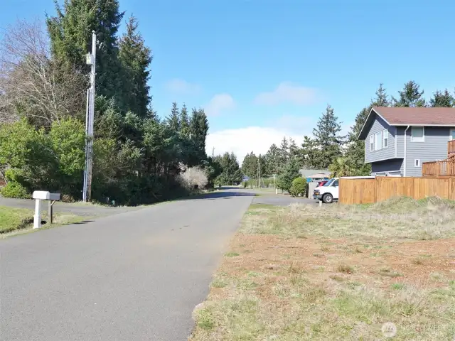 North view of Albion Ave (lot is on the right).