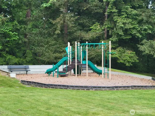 Playground area