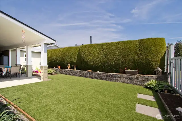 Another view of the back yard