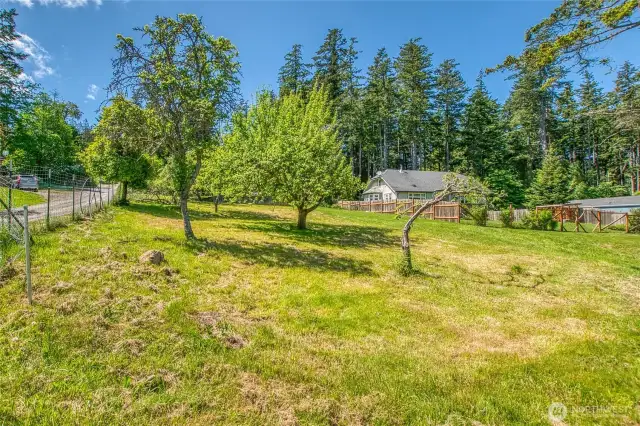 Beautiful orchard with heritage fruit trees.