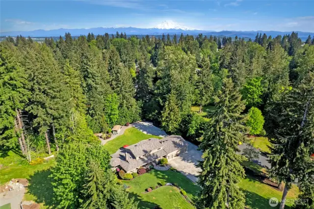 Total oasis with privacy on this 1+ acre lot.