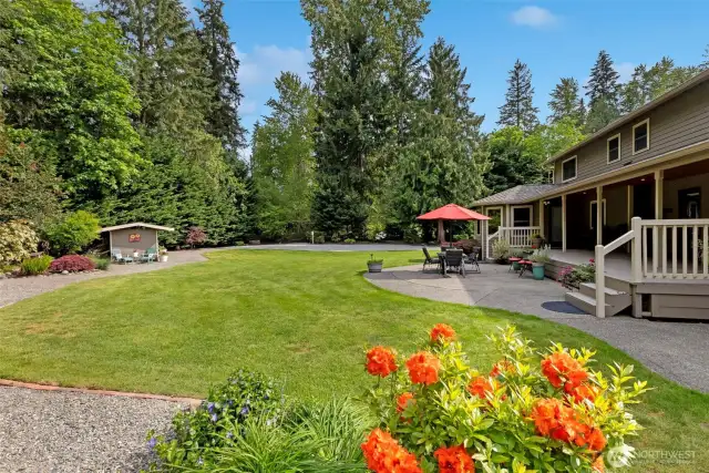 Backyard patio & garden shed in distance.