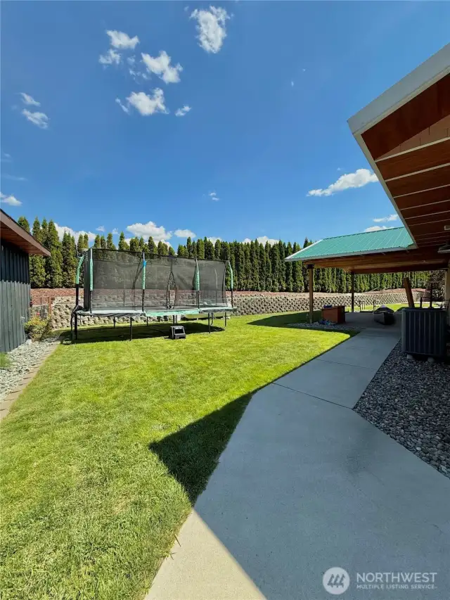 Backyard