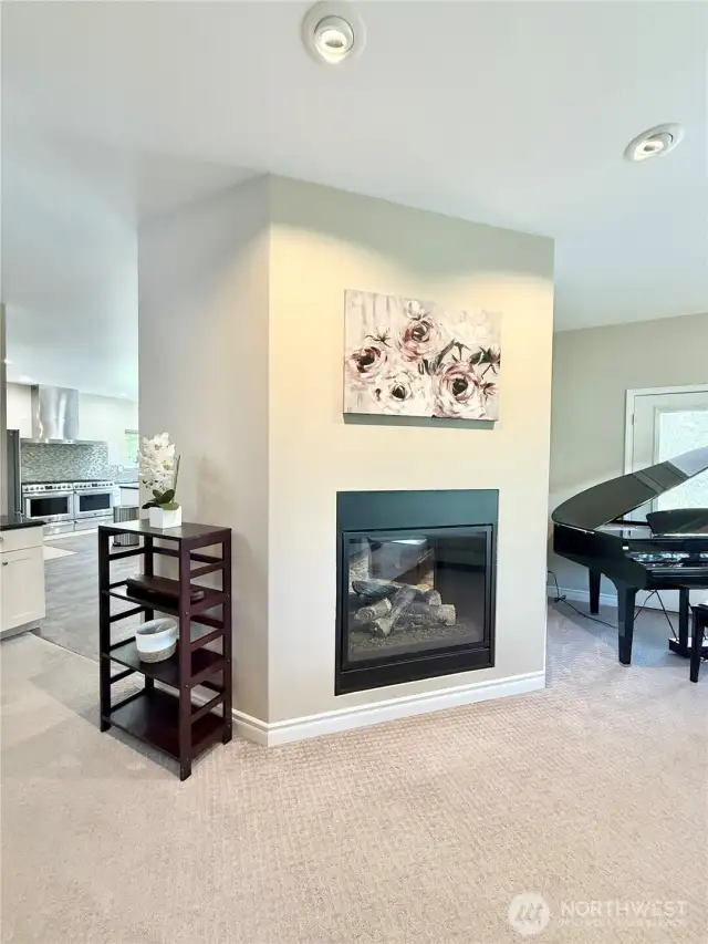 Propane Fireplace