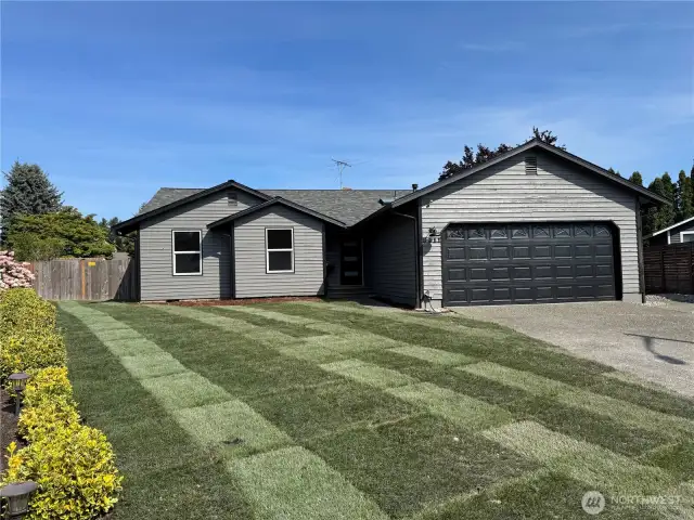 New sod in front yard.