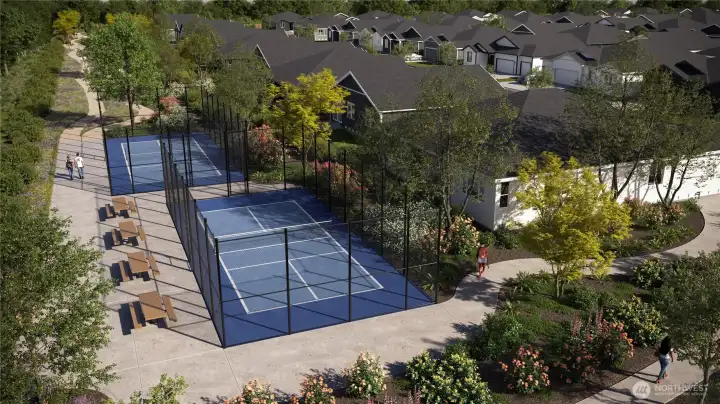 Pickleball Courts