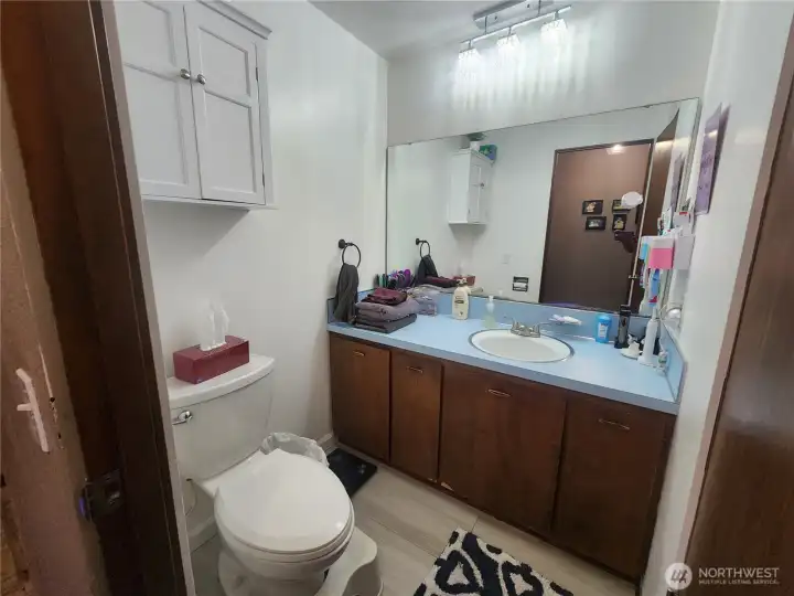 Guest bathroom