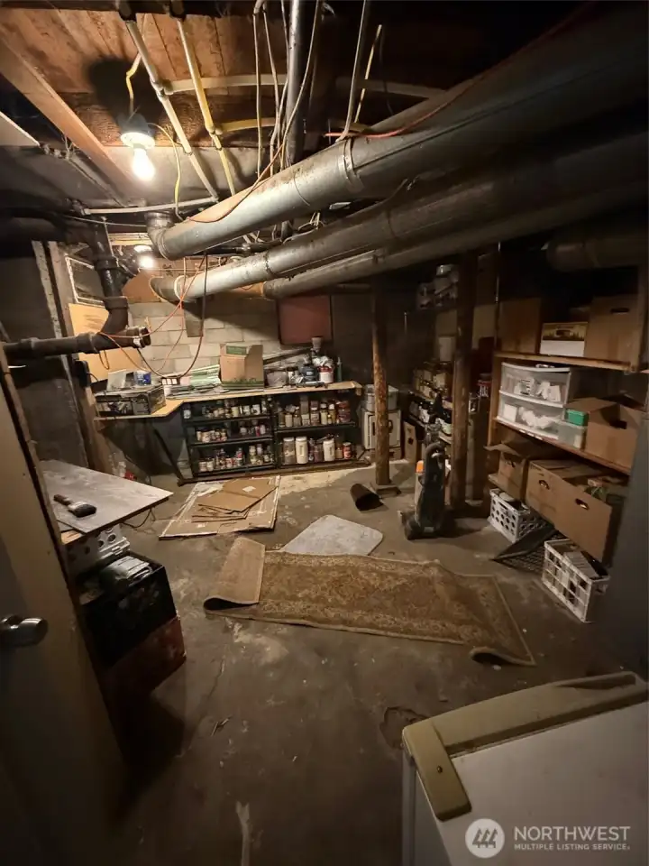 Walk in Pantry Basement