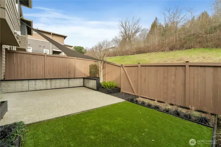 Turf grass