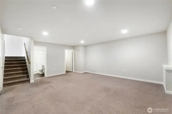 Bonus room - Lower level