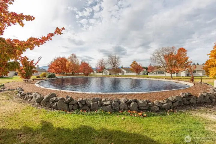 View to Pond (Water Staged)