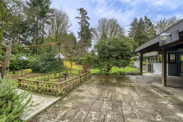 Backyard Patio With Lots of Trees