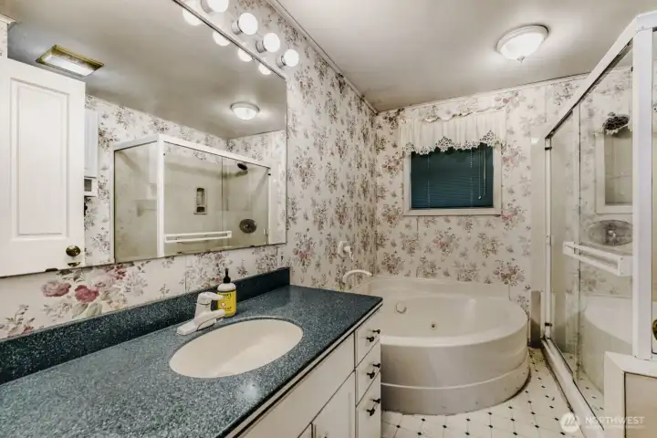 Guest Bathroom with Jacuzzi Tub and Shower